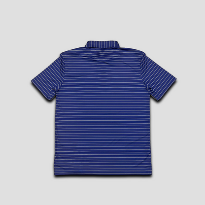 Silk-Stripe Polos